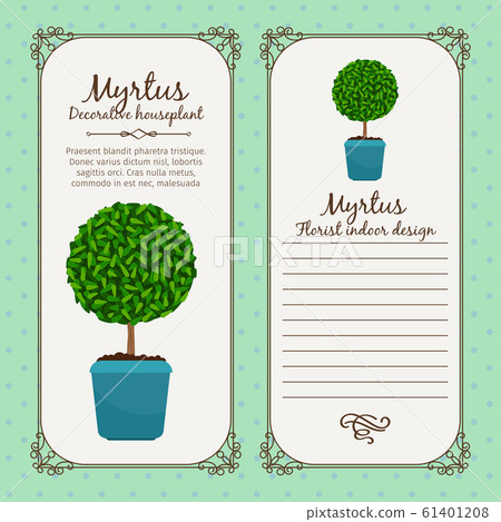 Vintage label with myrtus plant Vintage label with myrtus plant 61401208