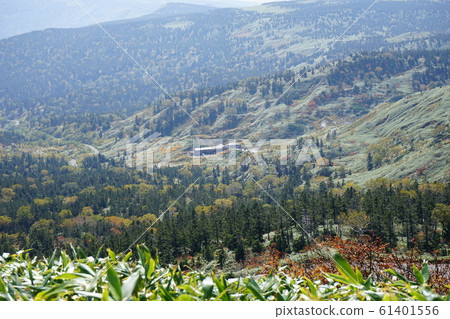 Let's go in the autumn Hachimantai 61401556