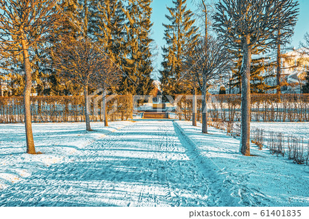 Catherine Park near the palace of the same name, Catherine Park near the palace of the same name, 61401835