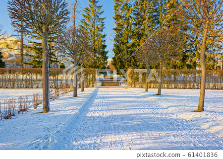 Catherine Park near the palace of the same name, Catherine Park near the palace of the same name, 61401836