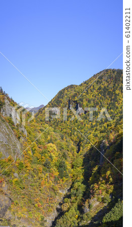 北海道定山溪北平峽大壩的秋葉 61402211