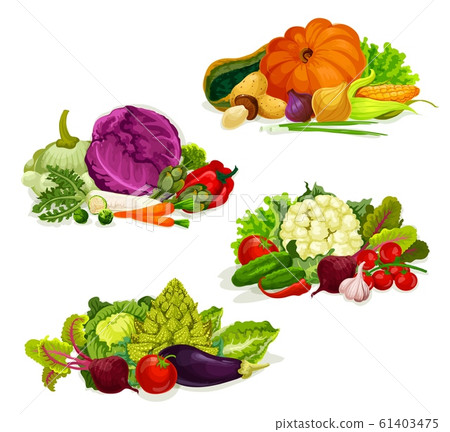 Vegetables, vegetarian food salads and cabbages Vegetables, vegetarian food salads and cabbages 61403475