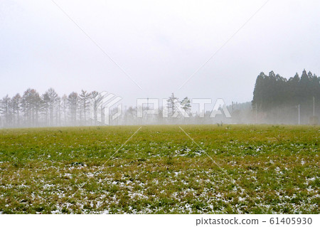 Koiwai Farm with Spring Fog Koiwai Farm with Spring Fog 61405930
