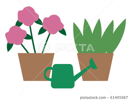 House Plants in Pots, Watering Can. Vector Flowers - Stock Illustration ...