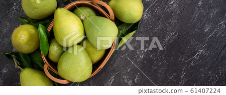 柚子本旦中秋果皮柚子平躺柚子柚子柚子Jyugoya 61407224