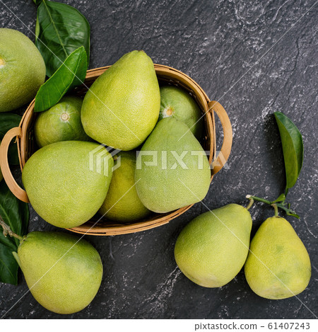 柚子本旦中秋果皮柚子平躺柚子柚子柚子Jyugoya 61407243