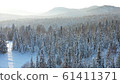 Winter forest on a Sunny day. Snow-covered firs. Light snowfall. Beautiful view from above 61411371