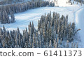Winter forest on a Sunny day. Snow-covered firs. Light snowfall. Beautiful view from above 61411373