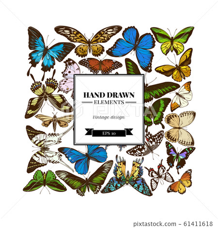 Square design with colored papilio ulysses, morpho menelaus, graphium androcles, morpho rhetenor cacica, papilio demoleus, cethosia biblis, papilio antimachus, alcides agathyrsus, ornithoptera priamus 61411618
