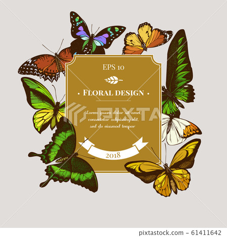 Badge design with colored cethosia biblis, ornithoptera croesus lydius, graphium weiskei, hebomoia glaucippe, papilio palinurus, danaus chrysippus, trogonoptera brookiana, ornithoptera goliath 61411642