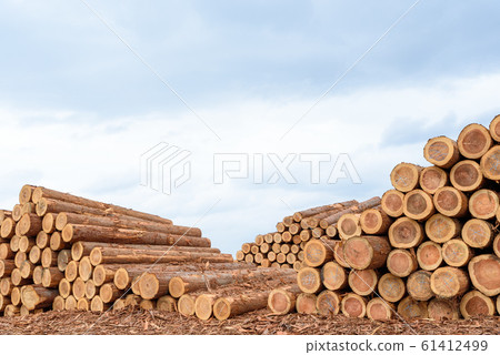 堆積的日誌 堆積的日誌 61412499