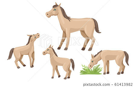 Set of foals and horse. Farm animals walk and graze. Vector illustration 61413982