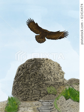 Eagle, mountain, nature, wildlife Eagle, mountain, nature, wildlife 61414474