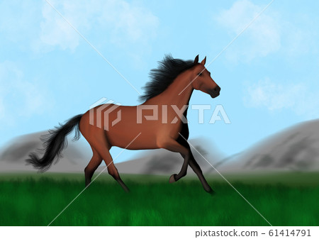 Horse, Akhalteke, jumper, mountain, plane, grass Horse, Akhalteke, jumper, mountain, plane, grass 61414791