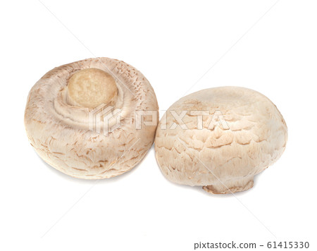 Champignons on a white background 61415330