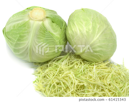 Two cabbage isolated on white background Two cabbage isolated on white background 61415343