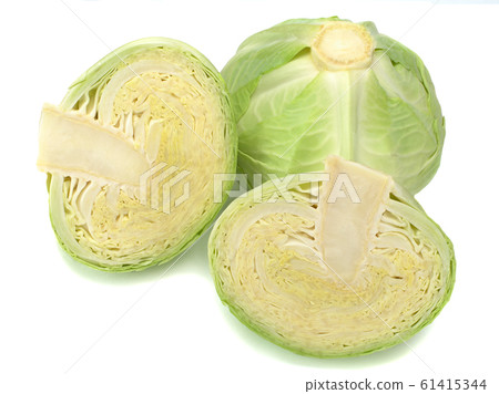 Cabbage isolated on white background 61415344