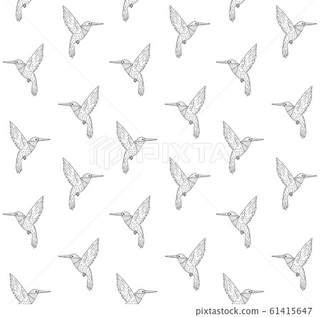 Vector seamless pattern of hand drawn hummingbird Vector seamless pattern of hand drawn hummingbird 61415647