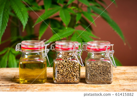 Cannabis seeds grain and oil Cannabis seeds grain and oil 61415882