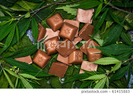 Chocolate bars on top of marijuana background 61415883