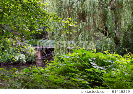Walk through the Tiergarten park Walk through the Tiergarten park 61416239