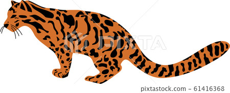 台灣雲豹 台灣雲豹 61416368