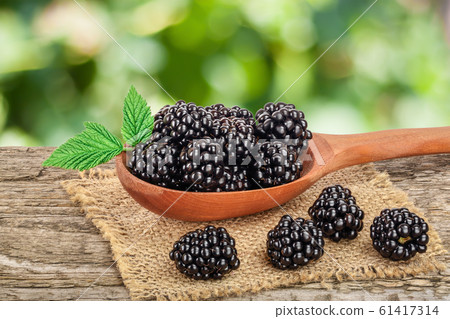 blackberry in spoon on the old wooden table with blurred garden background 61417314