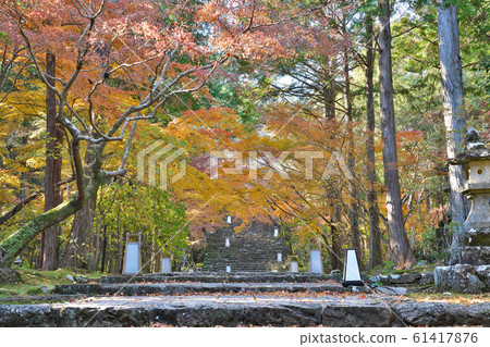 [Gotaisan Golden Temple Chikurinji Temple] (Shikoku Sacred Site No. 31 Fudasho) Godaisan, Kochi City, Kochi Prefecture 61417876