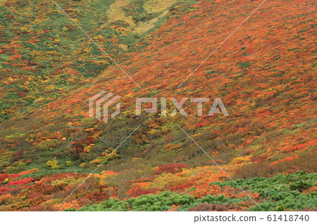 [定額]栗駒山的秋葉（中央路線） 61418740