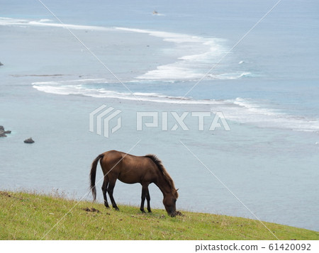 與那國島(東崎) 與那國島(東崎) 61420092