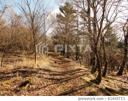 Mount Fuji promenade 61420713