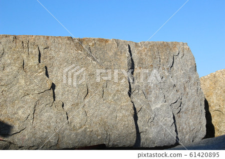 Rough rough skin 61420895