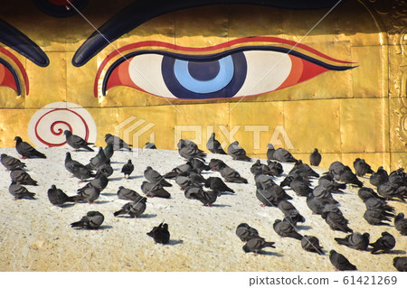 尼泊爾加德滿都世界遺產Boudhanath寺寶塔，臉上有彩繪，周圍有一群鴿子 61421269