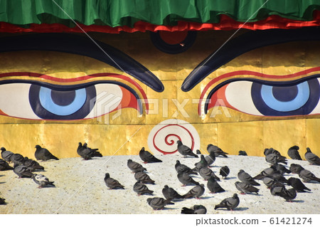 尼泊爾加德滿都世界遺產Boudhanath寺寶塔,臉上有彩繪,周圍有一群鴿子 尼泊爾加德滿都世界遺產Boudhanath寺寶塔,臉上有彩繪,周圍有一群鴿子 61421274