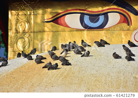 尼泊爾加德滿都世界遺產Boudhanath寺寶塔，臉上有彩繪，周圍有一群鴿子 61421279