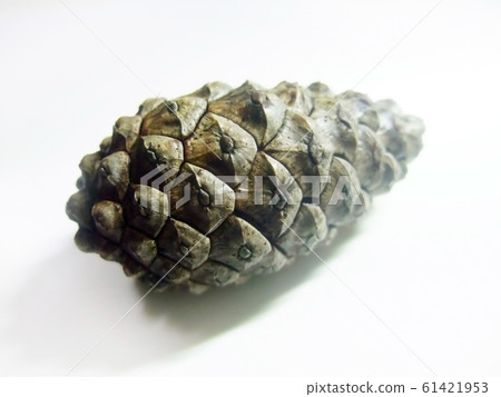 嘴碗 嘴碗 61421953