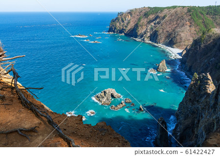 [Tanohata Village, Iwate Prefecture] Cliffs of cormorants in early spring 61422427