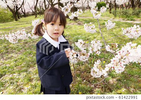 Admission Admission Admission Admission 61422991