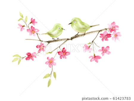 白眼與櫻花水墨畫 61423783