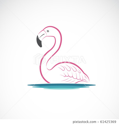 Vector of flamingo design on white background. 61425369