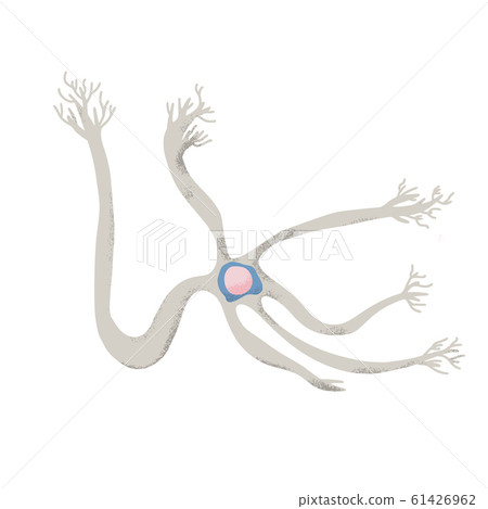 Neuron cells. Vector simple design illustartion. 61426962