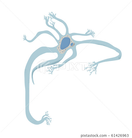 Neuron cells. Vector simple design illustartion. 61426963