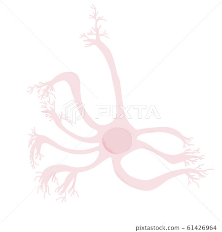 Neuron cells. Vector simple design illustartion. Neuron cells. Vector simple design illustartion. 61426964