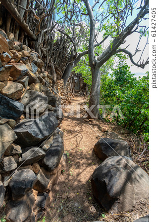path in walled village tribes Konso, Ethiopia 61427405