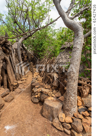 path in walled village tribes Konso, Ethiopia path in walled village tribes Konso, Ethiopia 61427416