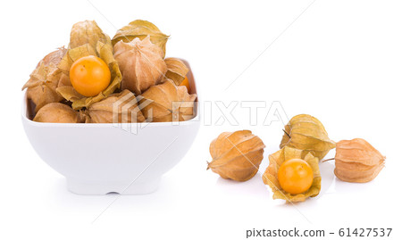 cape gooseberry on white background. physalis 61427537