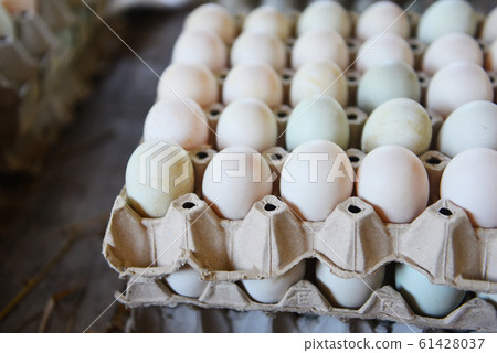 Fresh eggs white duck egg box - produce eggs fresh Fresh eggs white duck egg box - produce eggs fresh 61428037