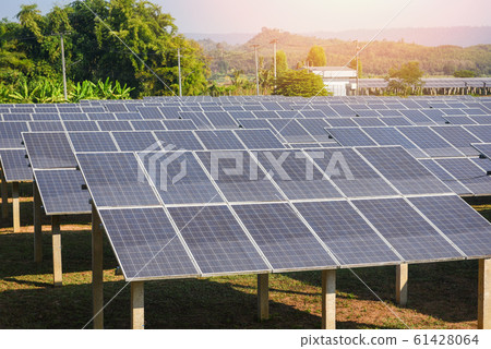View of solar panels in the solar farm with green 61428064