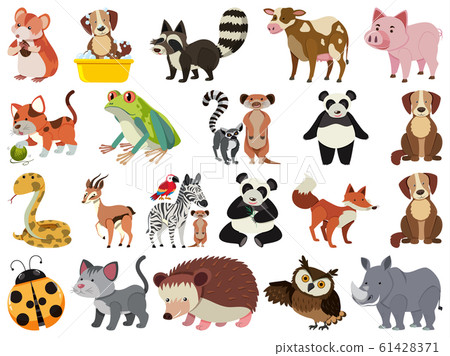 Set of isolated objects theme animals 61428371