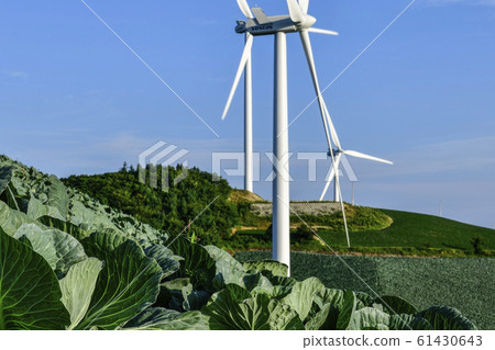 Wind Power Generator, Chinese Cabbage Field, Anbandongi, Wangsan-myeon, Gangneung-si, Gangwon-do, South Korea 61430643